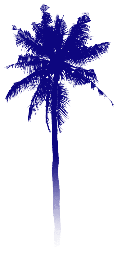 palmtree2small-474×1024.png