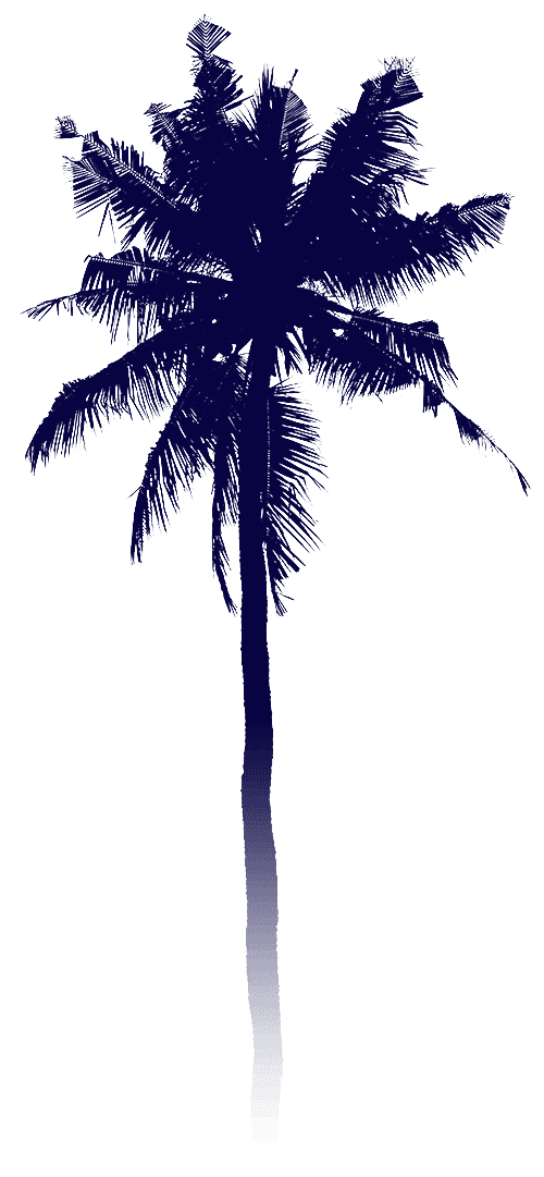 palmtree3small.png