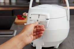 Panda mini rice cooker condensation collector in arctic white