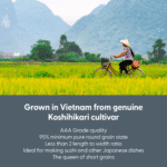 Arroz para Sushi Koshihikari Premium de Grão Curto - 5 kg - Imagem 4