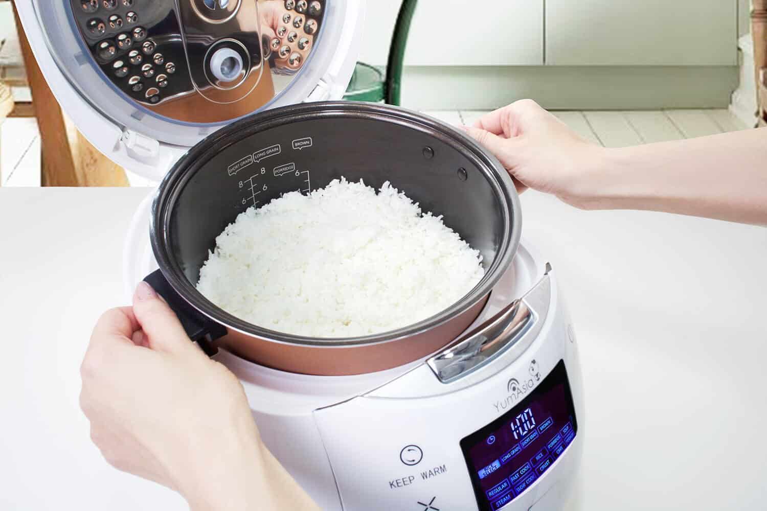 Yum Asia Panda Mini Rice Cooker With Ninja Ceramic Bowl and