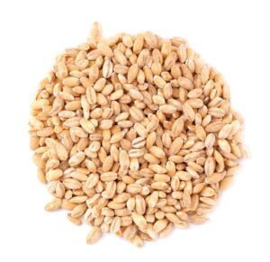 Pearl Barley Grain
