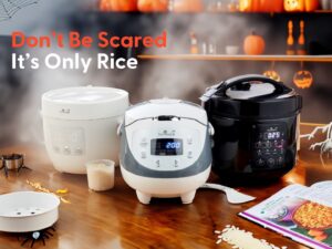 Guide des grains de riz - Yum Asia USA - No.1 for Premium Rice Cookers